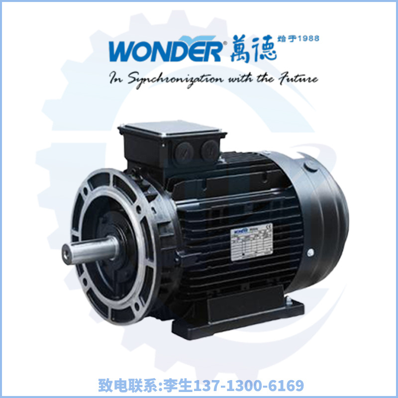WONDER电机/福建万达电机/福州万德电气/出口欧洲/平替进口电机